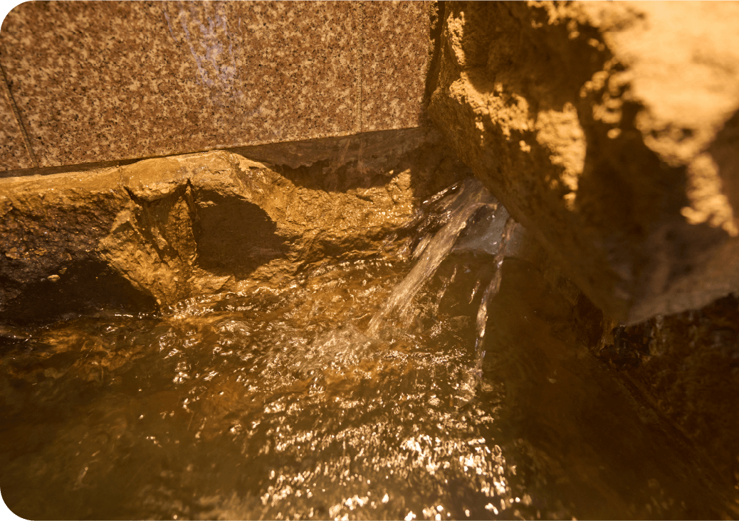 日帰り温泉・貸切湯・立寄り湯の画像1